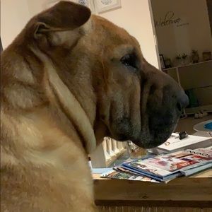 Meet your Posher, Karen